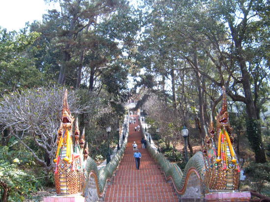 Die 306 Naga Stufen nach oben zum Tempel Doi Suthep, der beruehmteste in Chang Mai.