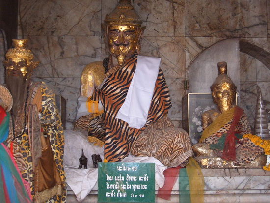 Tigerstytle  finde ich gut!