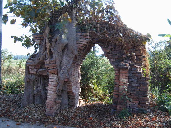 Wunderschoen. Aber hoechstens 100 Jahre alt.