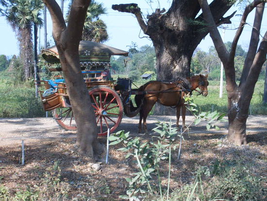 Pferdekutschentaxi. Kostet den Besitz stolze 500 US Dollar, sagte uns jemand. Die Kutsche und das Pferd.