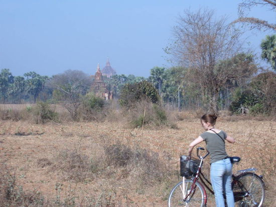 Wir mieten wieder Fahrraeder. So koennen wir unabhaengig die Natur und die Stupas geniessen.