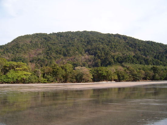 Dschungel, aus denen auch Affen und Schlangen zu Besuch kommen 
