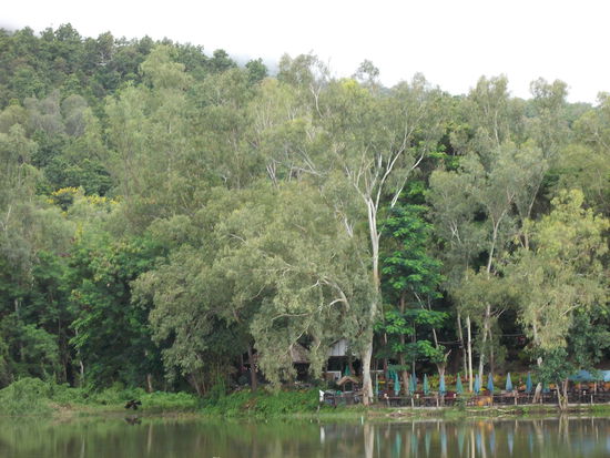 Uni-Campus - mit idyllischen Teichen und viel Grün. Die Gebäude gut versteckt