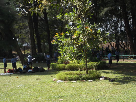 Ein Park südlich des Stadtkerns "um den Kindern die Natur nahe zu bringen" - und hier sind nicht Gruppen, nicht Schulklassen, nein - die Schüler ganzer Schulen nehmen hier die Pausenbrote ein.
