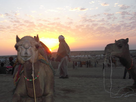 Sonnenuntergang in der Thar-Wüste