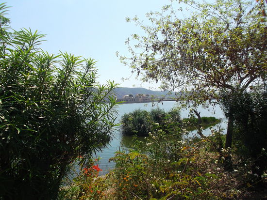 Ein See bei Jaipur, auch mit bebauter Insel mittendrin wie in Udaipur ... aber irgendwie 2. Wahl 