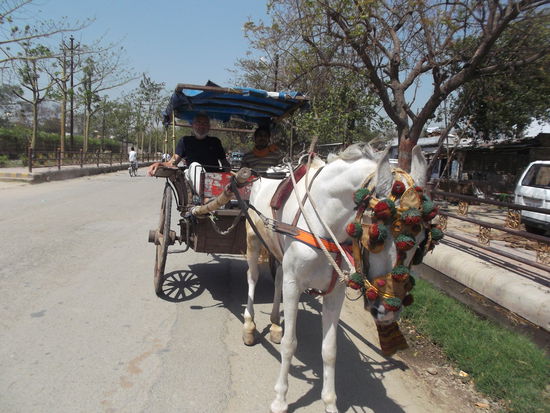 Mit Pferd und Wagen raus aus der Stadt, frische Landluft geniessen ...
