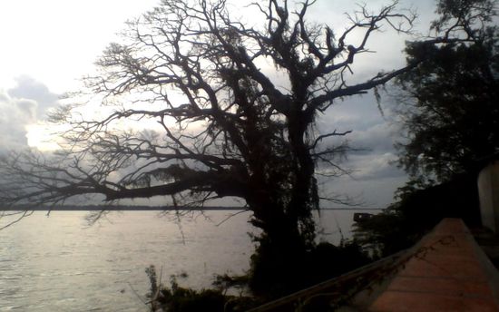 Stimmungsvoller Blick über den Mekong - mit Laptop aufgenommen.