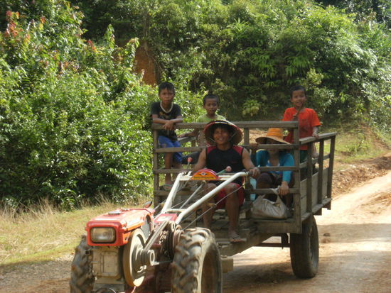 Das da vorne ersetzt den Wasserbüffel.
