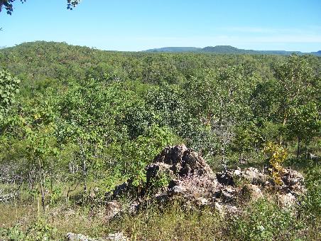 Litchfield NP