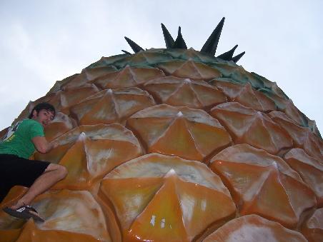 Jimmy and the big pineapple
