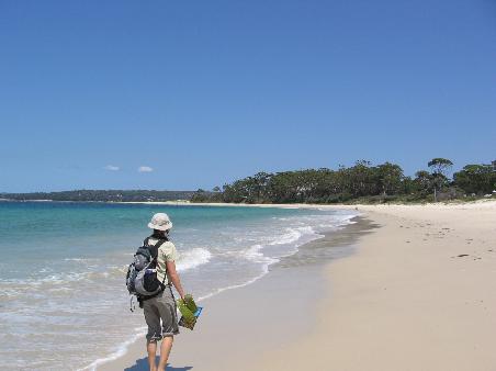 Strandwanderungen standen auf der Tagesordnung