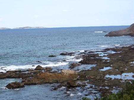 im Hintergrund Montague Island