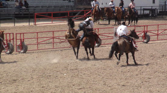 ...nach überstandenen 8 Sekunden gehts runter vom Bucking Horse