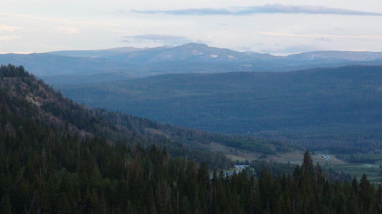 Shoshone National Forest