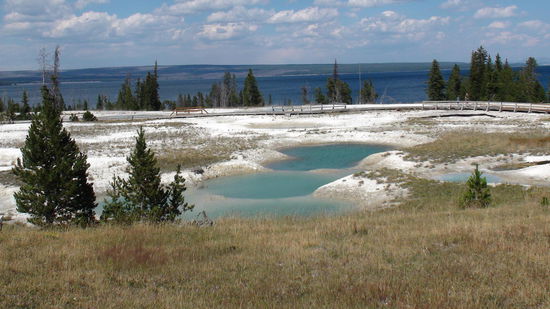 Weiter in Richtung West Thumb Geyser Basin, direkt am Lake Yellowstone.