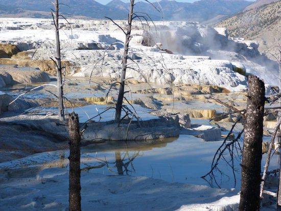 Sinterterrassen bei Mammoth Hot Springs