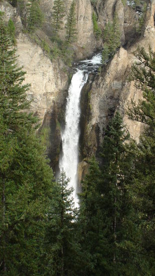 Kurzer Zwischenstopp am Tower Fall, die Wassermassen fließen direkt in den Yellowstone River