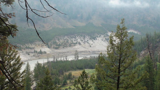 Blick auf den Yellowstone River