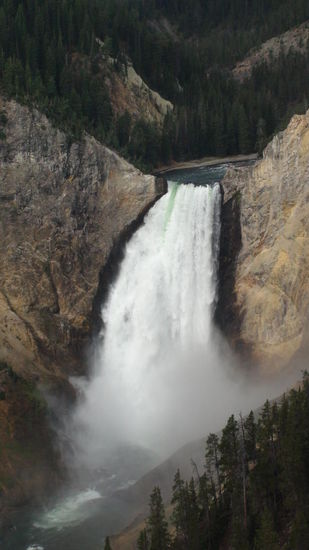 Mit einer Fallhöhe von 94 m sind die Lower Falls die höchsten Fälle des Parkes und knapp doppelt so hoch wie die Niagarafälle.