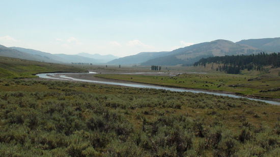 Über den nordöstlichen Ausgang verlassen wir den Yellowstone N.P -  mit unglaublich schönen Eindrücken und Begegnungen.