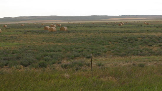 Diese Heuballen reichen locker das ganze Jahr.