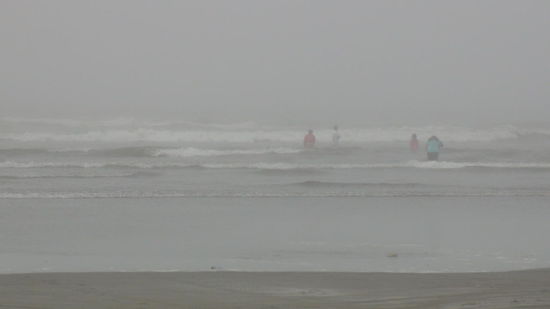 Ocean Shores im Nebel