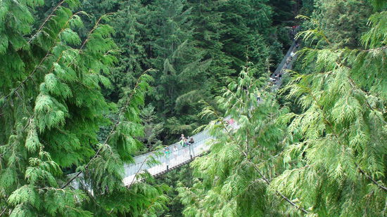 Capilano Suspension Bridge