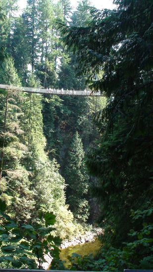 ...ganz schön hoch.