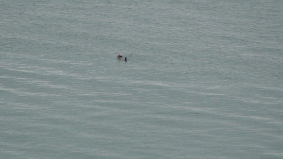Das ist ein Seeotter auf dem Rücken (mit Lupe deutlicher zu erkennen