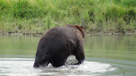 WOW, was für ein Erlebnis!!! Mir zittern jetzt noch die Knie.