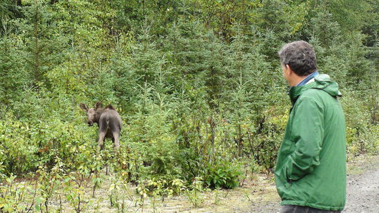 Mathias und baby moose