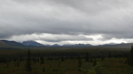 Hier irgendwo hinter den Wolken versteckt sich Mount McKinley. 
View vom Savage River Campground.