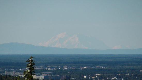 Endlich Mount McKinley! Auf einer Anhöhe mit Blick auf Fairbanks zeigt sich der Riese. Entfernung etwa 200 Kilometer