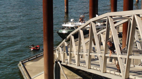 Mathias rettet Paddlerin noch vor dem Eintreffen der Marine. Was war passiert? Sie und ihr Hund saßen im Kanu, das Paddel lag aber noch am Pier.