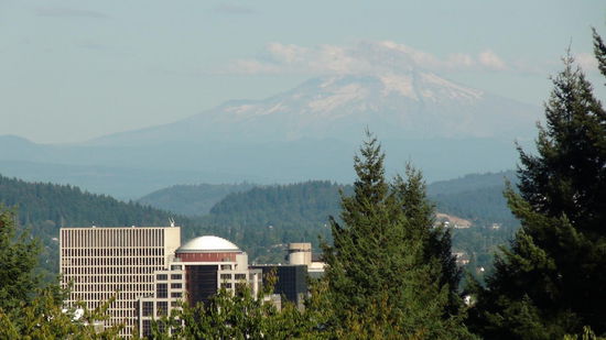 Vom Washington Park aus werfen wir einen Blick auf Portland und den Mount Hood (3425m).