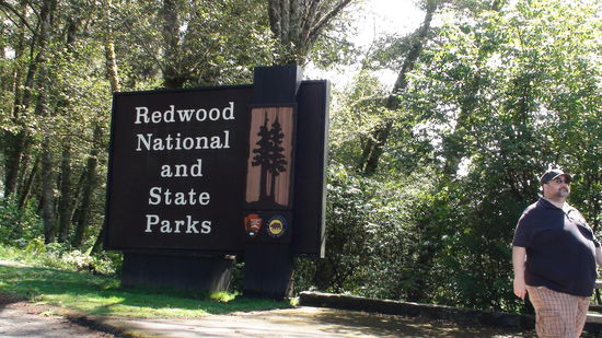 Hier sind nicht nur die Bäume mächtig.