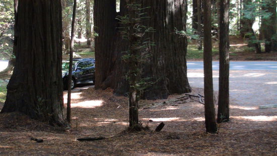 Unser Auto zum Vergleich. Riesig, oder?