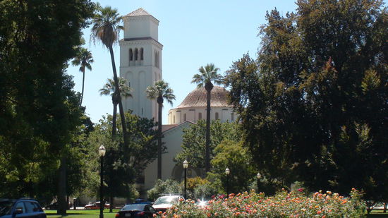 Palmen wo man hinsieht.