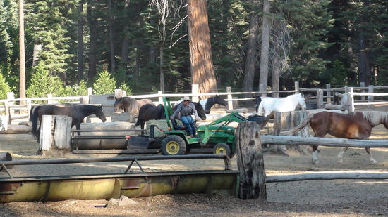 Horsebackriding am Lake Tahoe