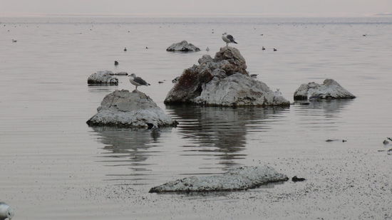 Die bizarre Welt der Tufas und die kreisrunde Form des Sees sind Ursache der dort vorhanden Vulkane. Tufas sind turm- oder pilzartige Gebilde, die aus Kalk bestehen. .