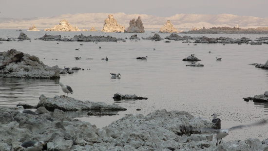 Mit ´nem Salzstein im Gepäck geht unsere Reise weiter.