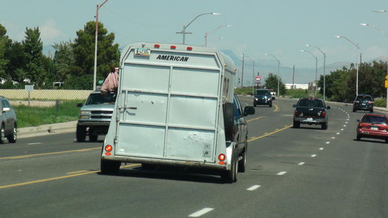 Pferdeanhänger mit Aussicht (Pferd trägt Kopftuch)