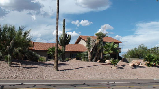 Bei uns zuhause blühen Blumen im Garten, hier wachsen Kakteen (sind pflegeleichter.