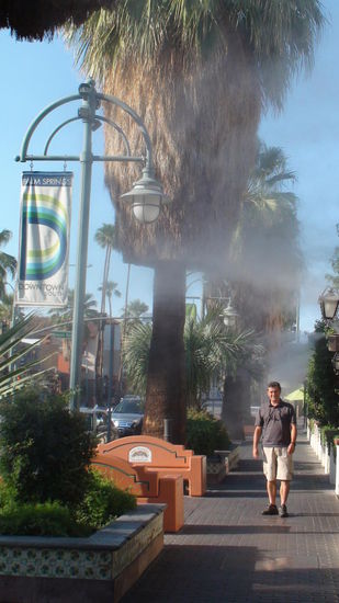 Palm Springs wurde 1938 gegründet. Zum Vergleich die Vereinigung Schwäbisch-Alemannischer Narrenzünfte wurde bereits im Jahr 1924 gegründet. 