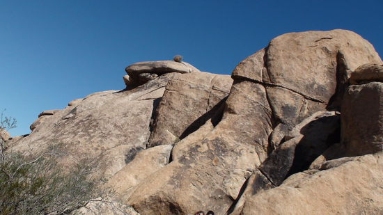 J-Tree, wie die Felskletterer aus aller Welt ihn nennen, enthält einige der besten Möglichkeiten fürs Felsklettern in den Vereinigten Staaten. Die gigantischen Felsen bestehen aus grobem Granit mit zahlreichen Löchern und Rissen, welche interessantes Klettern ermöglichen.