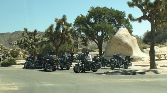 Fahren auf einer Harley Davidson fehlt noch auf meiner TO DO Liste.