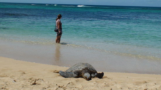 Die ist echt und ich steht dahinter.