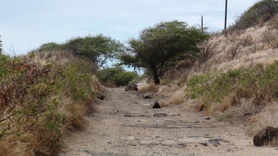 Hier endet die Straße. Kaena Point im Nordwesten