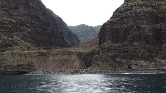 Valley aus Jurassic Park